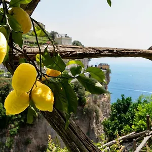 Hotel La Pergola ***